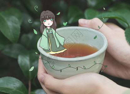 养生茶背景图片