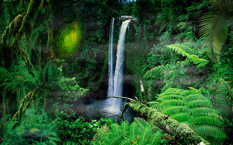 奇幻森林绿色瀑布高清图片