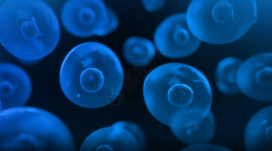 海洋细菌细胞群背景设计图片