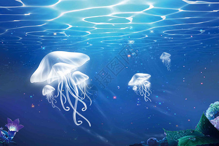 浮游生物水母海底世界设计图片