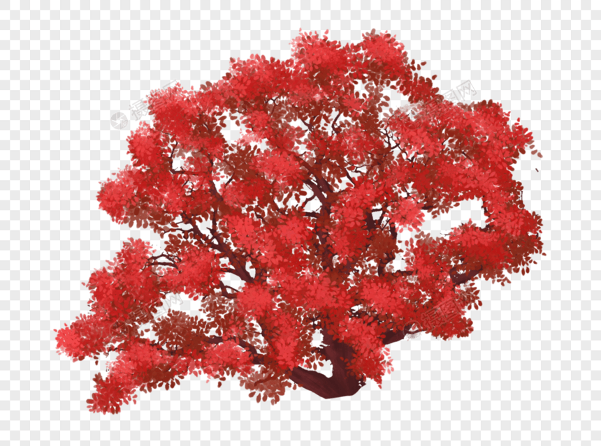 红色树木图片