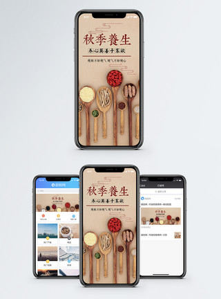 谷物豆类秋季养生手机海报配图模板