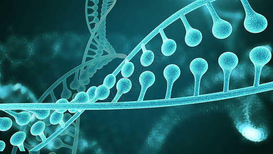 细胞生长DNA设计图片