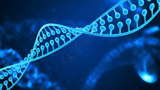 DNA细胞高清图片素材