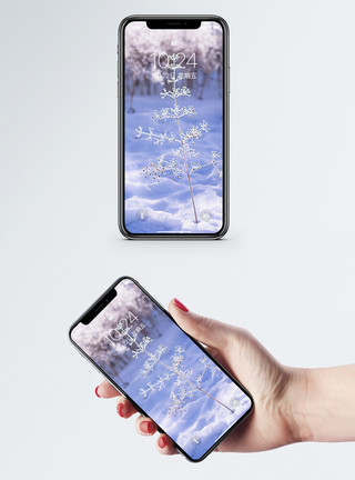美丽白云雪景一棵小树手机壁纸模板