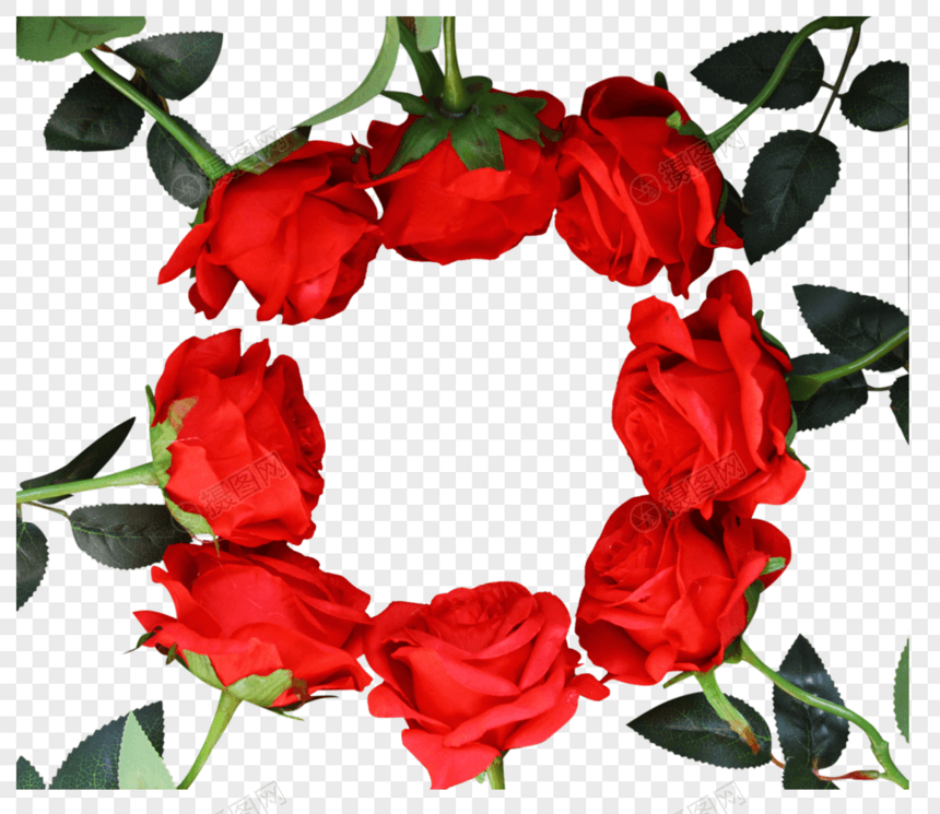 红玫瑰静物背景图图片