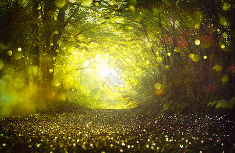 森林隧道 乌克兰梦幻森林设计图片