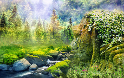 蘑菇大自然梦幻森林设计图片