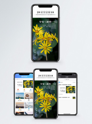 花篮小黄花早安时光手机海报配图模板