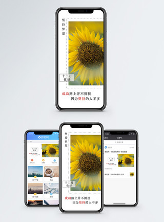 向日葵盛开十二月手机海报配图模板