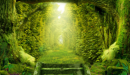 森林隧道乌克兰梦幻丛林设计图片