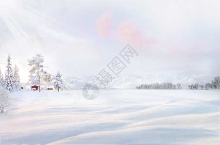 白色雪景冬季场景设计图片