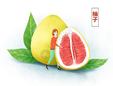 可爱西柚柚子插画