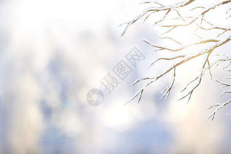 雪景雪人冬季场景设计图片