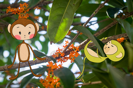 桂花树上的小猴子背景图片