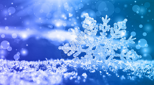冬季雪花背景背景图片