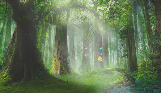 蝴蝶森林梦幻森林设计图片