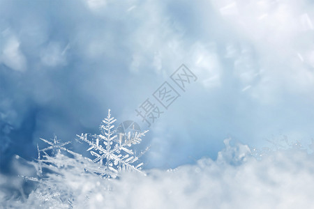 唯美雪花背景冬天高清图片