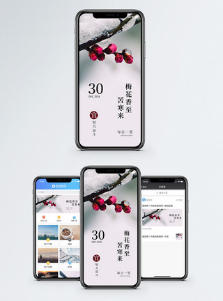 坚毅梅花香至苦寒来手机海报配图模板