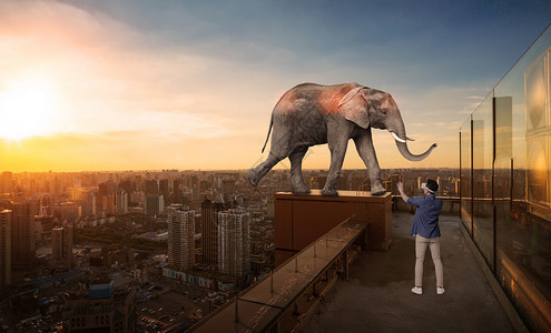 城市动物虚拟现实设计图片