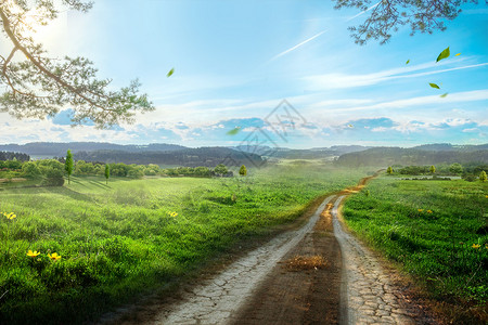 春天道路梦幻森林设计图片