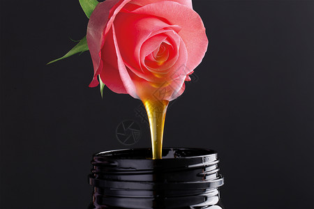 蜂蜜玫瑰花蜜设计图片