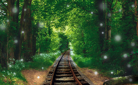 森林铁路林间小路设计图片