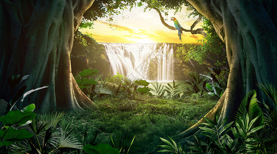 树林风景图梦幻森林场景设计图片