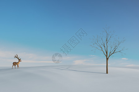 梅花鹿背景雪地里的梅花鹿设计图片