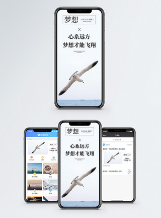 海鸥飞翔梦想手机海报配图模板