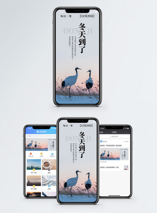 你好冬天冬天到了手机海报配图模板