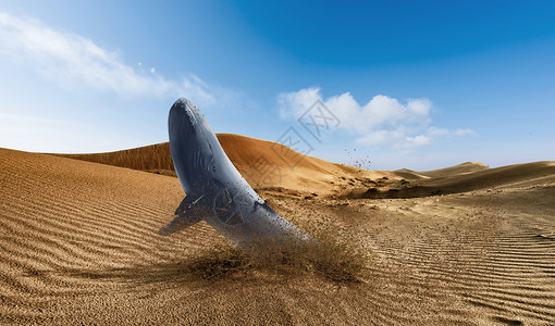 跃出沙漠的鲸鱼图片