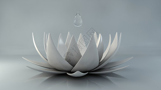 一朵白色月季花莲花水滴艺术质感设计图片