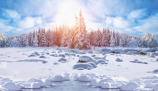 森林冬天冬季雪景设计图片
