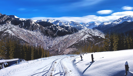 冬天马路冬季雪景设计图片