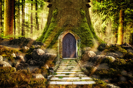 教堂门口梦幻唯美森林设计图片