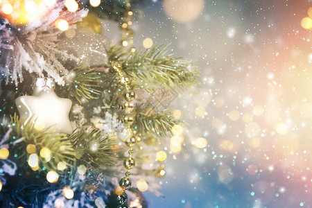 雪落树上圣诞树背景设计图片