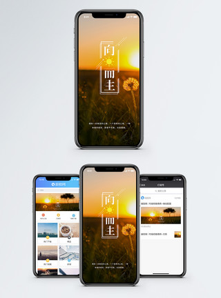 日出草地励志祝福手机海报配图模板