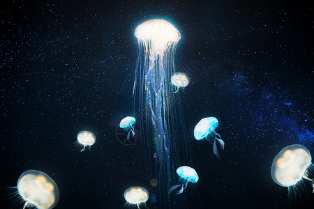 ps素材水母星空中的水母设计图片