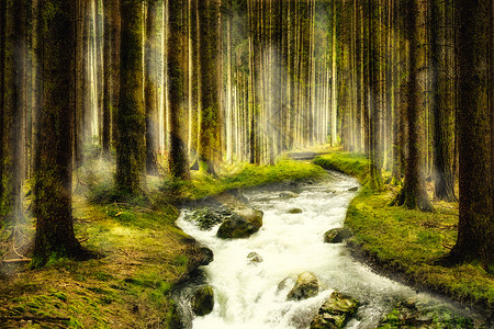 森林跑奇幻唯美森林设计图片
