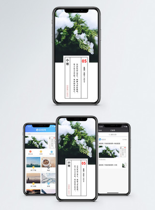 大寒节气小寒手机海报配图模板