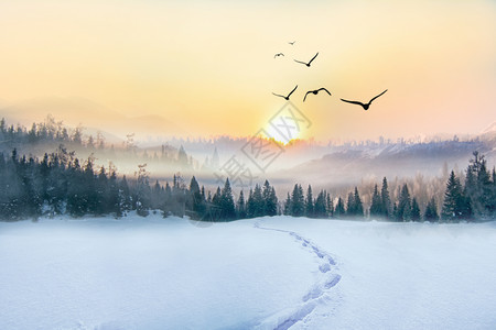 山川湖畔冬日雪景设计图片