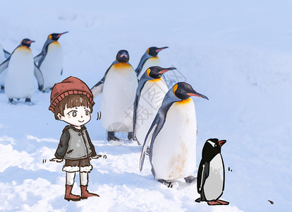 寒冷企鹅背景图片