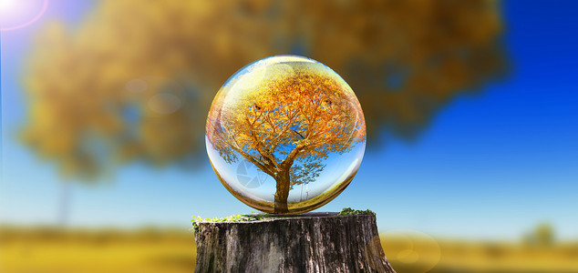 树根创意水晶球里的秋天设计图片