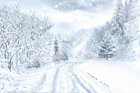 被雪覆盖码头冬天雪景设计图片
