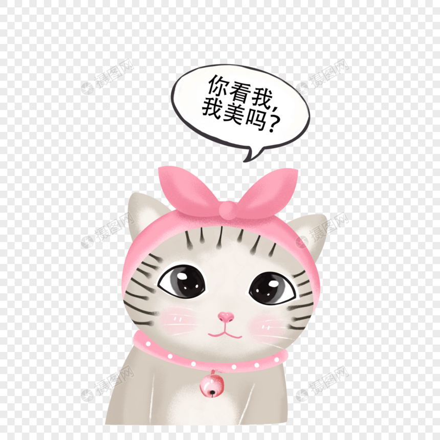 呆萌的小猫图片