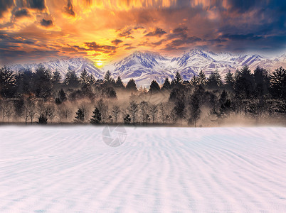 日落雪景夕阳下的雪景设计图片