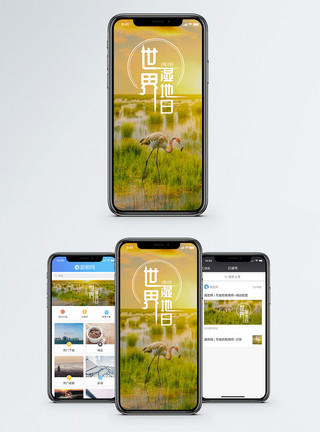 感受大自然世界湿地日手机海报配图模板