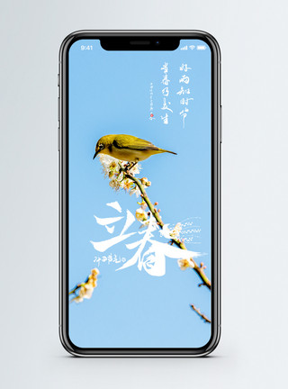 简笔画花朵立春手机海报配图模板