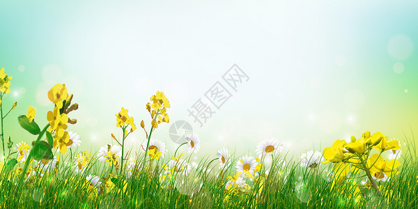花丛蝴蝶春天的花丛设计图片